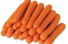 Сорт моркови: Зафиро f1