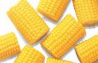 Сорт кукурузы: Филу