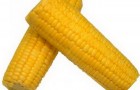 Сорт кукурузы: Пхехг