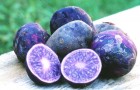 Фиолетовый картофель полезнее всех светлых сортов