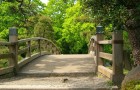Мосты в саду