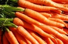 А что если морковь может вылечить рак?