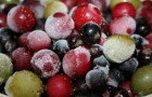 Сохраняются ли полезные свойства ягод при их быстром замораживании?