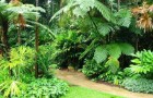 Ботанические сады Флекера