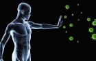 Четыре натуральных способа подстегнуть иммунную систему