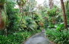 Национальные ботанические сады Австралии
