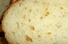 Хлеб с творогом в хлебопечке