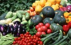 Хранение урожая овощных культур